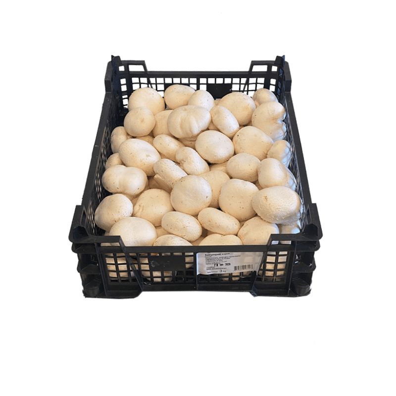 Offer White champignon mushrooms-returnable packaging 3 kg