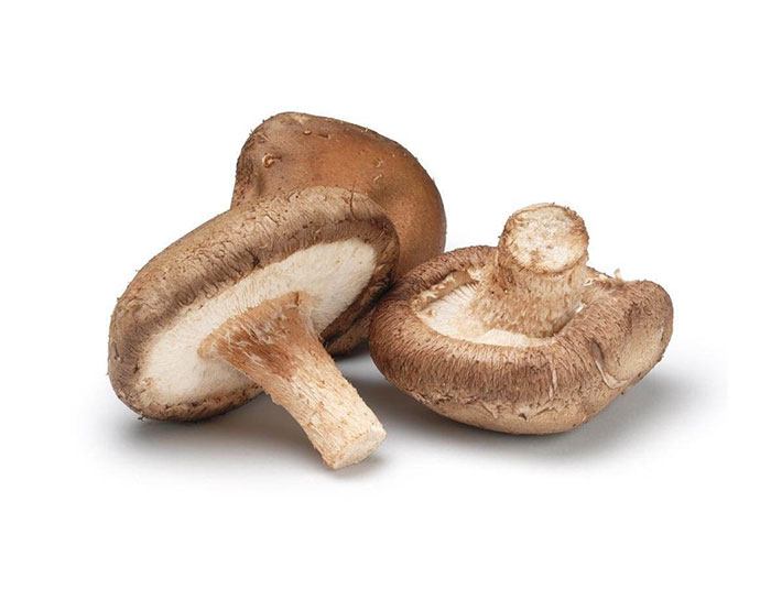 Shii-take mushrooms (Shitake)